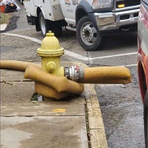 Meet your Posher, Spencer